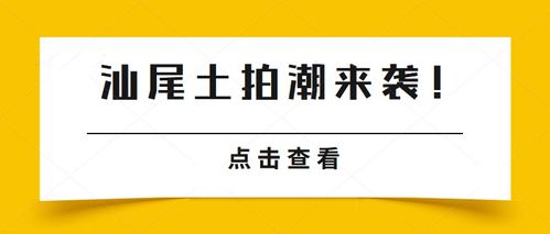 广东江门亿元土地流拍事件深度解析