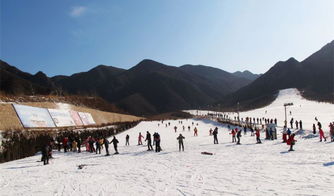 探讨北方滑雪场建筑融合功能性与自然美学的挑战