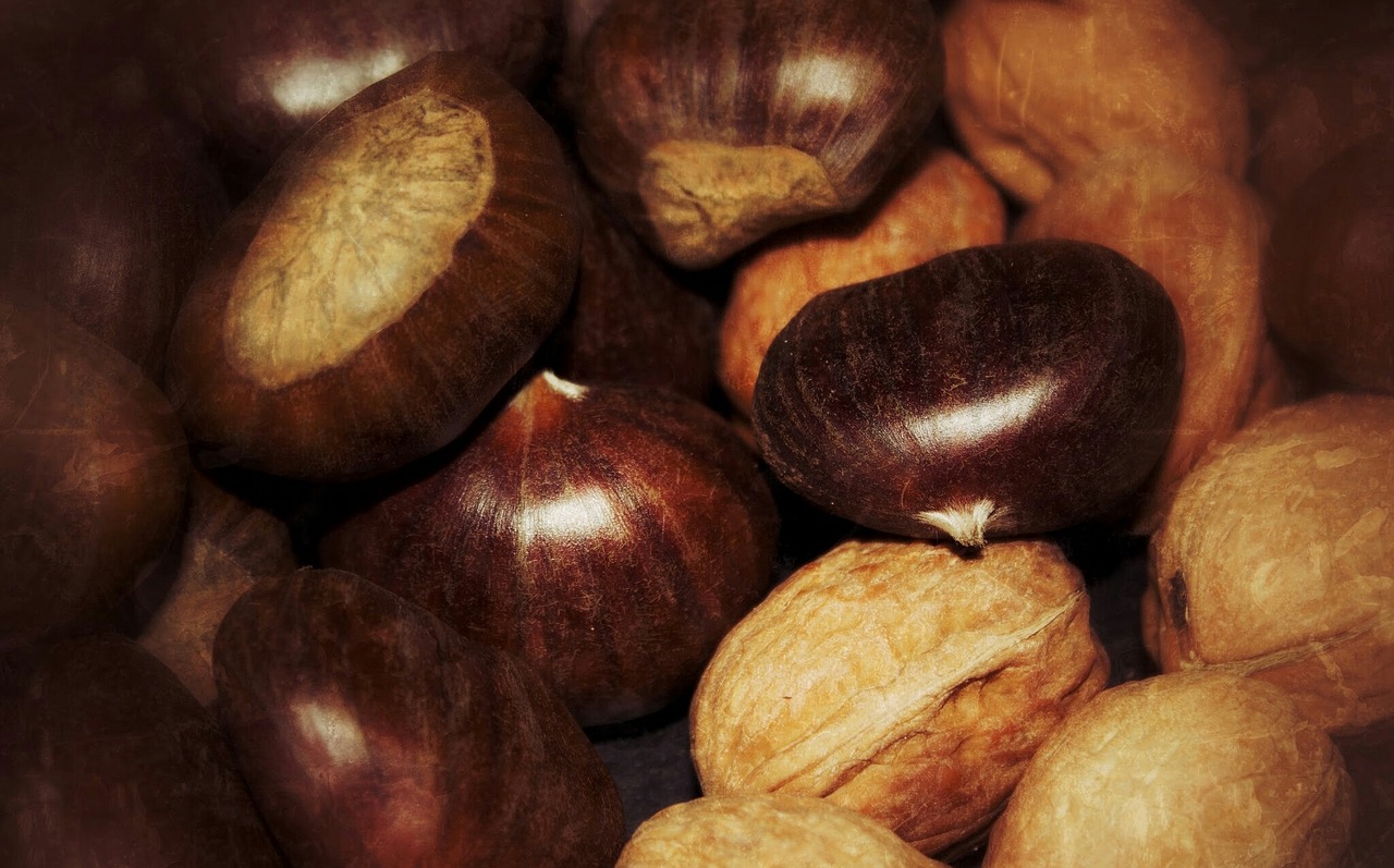 72岁老人吃山竹意外遭遇，被钻出的蝎子咬伤