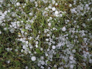 陕西多地遭遇极端天气，冰雹如积雪，震撼人心