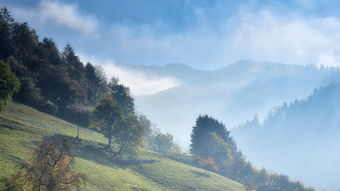 花果山景区，解锁黑神话，畅游免费之旅