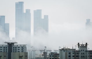 人在景区心系股市，现代生活中的一种现象分析