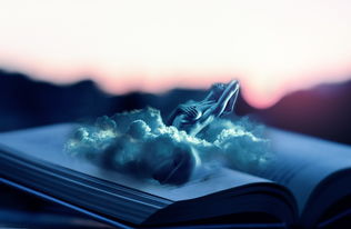 小石潭记阅读答案