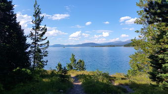 去打开大自然绿色的课本，探索自然教育的无限可能