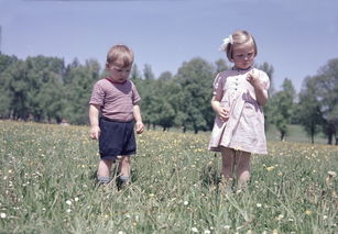 亲亲家园幸福里，打造你自己的温馨小世界