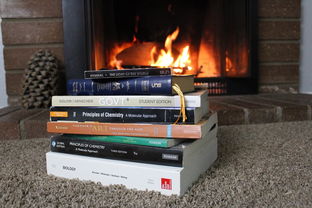 打造温馨家庭的必备之选——普田煤气灶