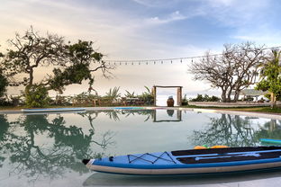 在魔都天津的春天里,你的生活怎么安排? 在魔都天津的春天里,你的生活怎么安排?