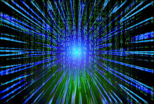 走进电缆线的世界，理解并掌握电缆线接头