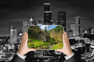 绿洲——梧桐院业主论坛的绿色生活指南 绿洲——梧桐院业主论坛的绿色生活指南