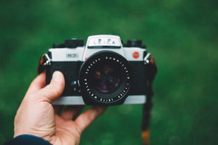 国产相机什么牌子好?选购攻略助你拍出满意的照片 国产相机什么牌子好?选购攻略助你拍出满意的照片