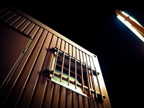 脚手架图片，建筑世界里不可或缺的视觉指南