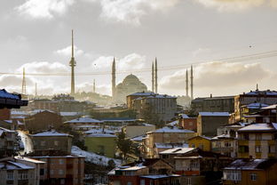 双流海棠湾，一座未来城市的绿色心脏
