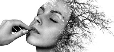 肖战赴约米兰时装周,时尚与艺术的跨界碰撞 肖战赴约米兰时装周,时尚与艺术的跨界碰撞