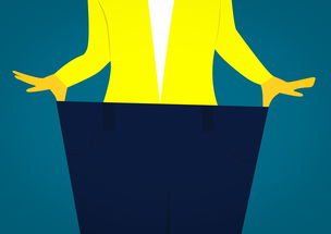 提升生活品质的时尚之选