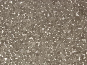 聚苯乙烯保温板，为建筑穿上冬暖夏凉的外衣