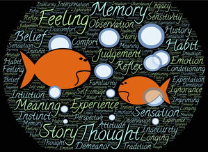 支付宝卡通，安全还是不安全？你需要知道的一切！