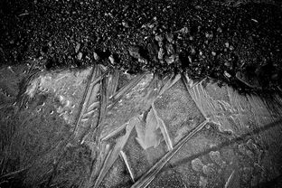 用艺术点亮地面——上海艺术地坪的无限可能