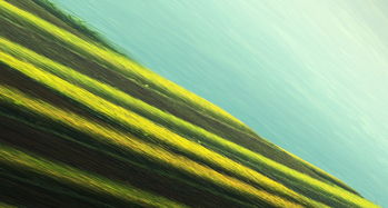 绿色生态与美观结合的现代装潢新选择 绿色生态与美观结合的现代装潢新选择