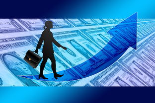 揭秘影子银行，现代金融体系中的隐秘力量