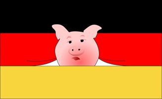 两头猪被偷3个月找回时胖了100斤,一场意外的养猪冒险 两头猪被偷3个月找回时胖了100斤,一场意外的养猪冒险