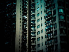 上海新城金郡,装潢达人带你走进精致生活 上海新城金郡,装潢达人带你走进精致生活