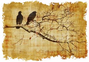 十字绣图案大全,从入门到精通的宝藏资源 十字绣图案大全,从入门到精通的宝藏资源