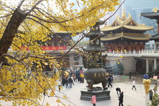 走进上海世博会中国馆——一场视觉与文化的盛宴