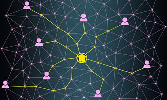 独特材质的性价比与使用价值 独特材质的性价比与使用价值