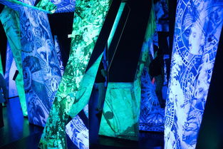 杨紫全国巡跳,一场跨界艺术与体育的盛宴 杨紫全国巡跳,一场跨界艺术与体育的盛宴