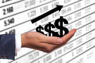 董明珠,提高员工收入,有钱就能消费了 董明珠,提高员工收入,有钱就能消费了