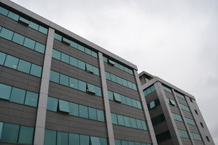 你的财富管家——走进中国建设银行安徽分行