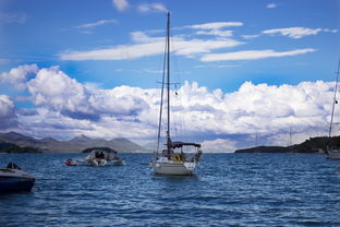 美拟对中国船只征收停靠费,一场海上贸易的收费风波 美拟对中国船只征收停靠费,一场海上贸易的收费风波