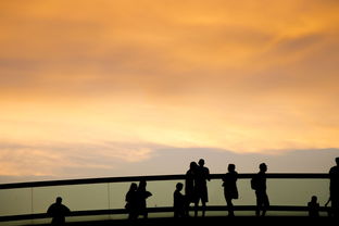 三大通道聚焦,解锁生活中的大事小情 三大通道聚焦,解锁生活中的大事小情