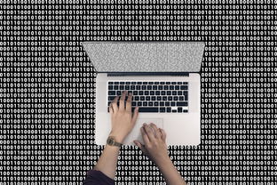 揭秘最佳体重值，科学定义、计算方法及健康建议