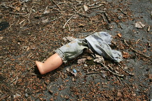 臭虫怎么杀?教你有效灭除小强的全面攻略 臭虫怎么杀?教你有效灭除小强的全面攻略