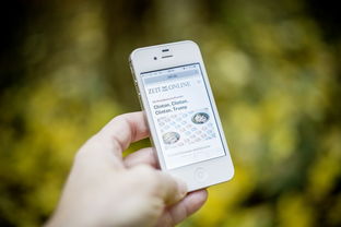 建议把干净的手机还给孩子，数字时代儿童教育的反思与探索