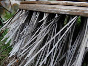 旋转脱水拖把,家居清洁的革命性工具 旋转脱水拖把,家居清洁的革命性工具