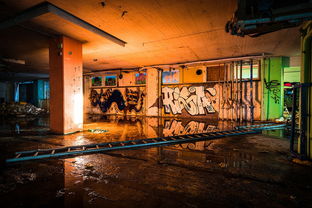 装潢达人视角下的银行空间合规艺术