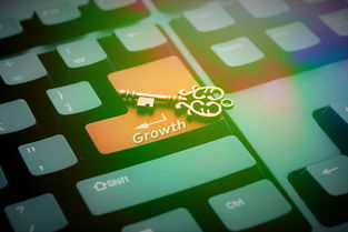 稳步扩大制度型开放,推动中国经济高质量发展的关键路径 稳步扩大制度型开放,推动中国经济高质量发展的关键路径