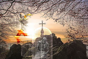 大南山紫园，现代与自然和谐交融的高端住宅典范