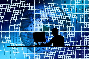 济南学区划分，家门口的教育资源大揭秘