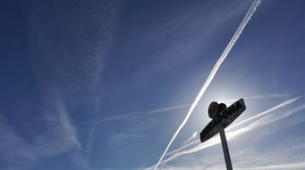 探索光的反射定律,自然界的几何之美 探索光的反射定律,自然界的几何之美