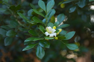 2023年4月27日浙江疫情速报，最新动态与防控措施解析