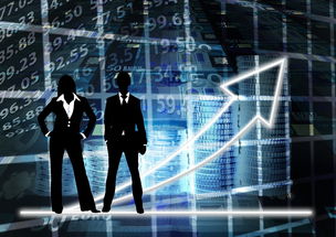 疫情风暴，全球最新状况的深度解析