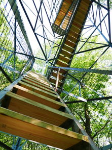 福建战疫新动态,11例本土确诊背后的挑战与希望 福建战疫新动态,11例本土确诊背后的挑战与希望