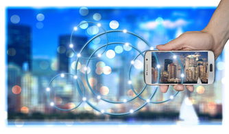 深入解析，31省区市新增本土12例背后的疫情动态与防控策略