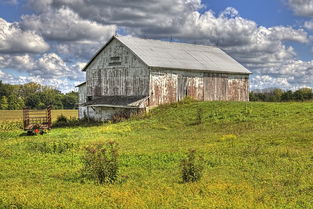 欢乐农家2，乡村生活的数字化升级