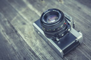 如何选购电磁炉，专业指南与实用技巧