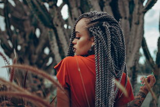 小燕子李晟断层登顶,从角色塑造到个人魅力的全面解析 小燕子李晟断层登顶,从角色塑造到个人魅力的全面解析