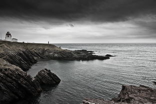 中国疫情防控新动态,31省份新增本土36例的深度解析 中国疫情防控新动态,31省份新增本土36例的深度解析